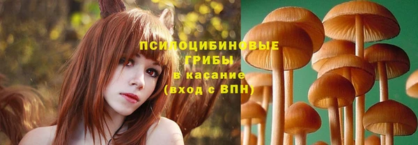 метадон Майский