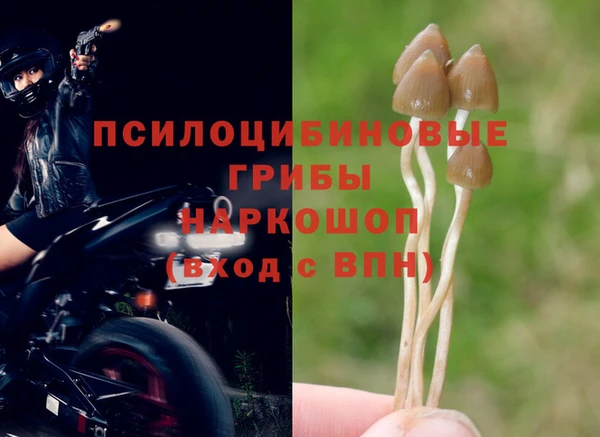 mdpv Магадан