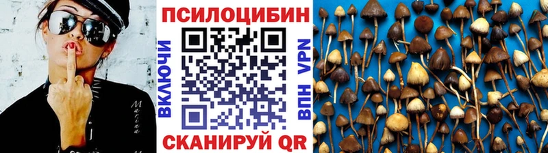 Псилоцибиновые грибы прущие грибы  Нестеровская 